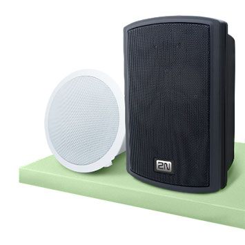 2N Net Speaker — цена и фото