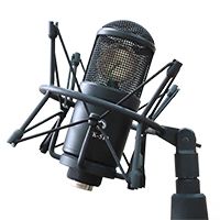  Микрофон Октава МК-519 (деревянный футляр) — цена и фото